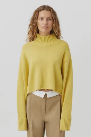 Aleksy Turtleneck Knit Egg Nog