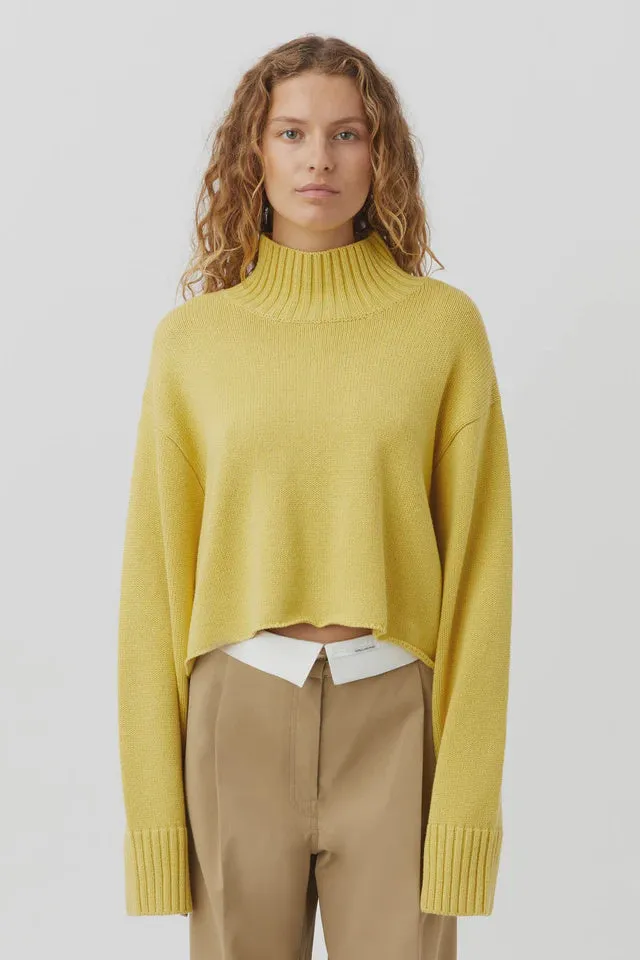 Aleksy Turtleneck Knit Egg Nog